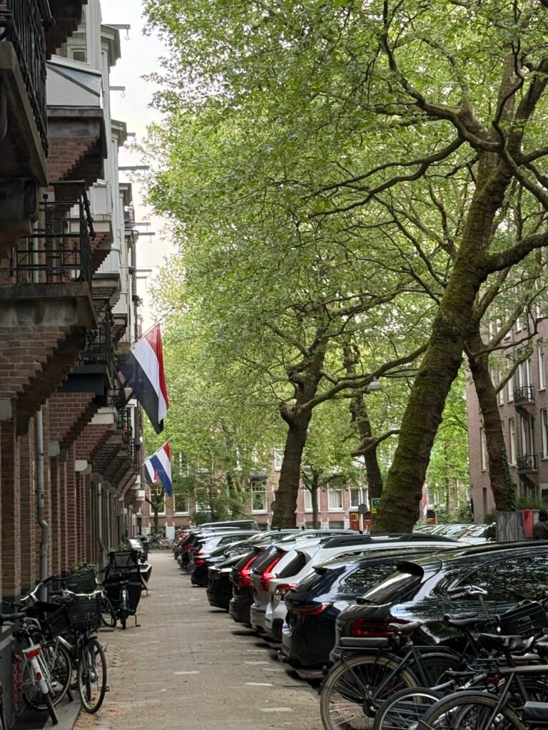 Row of Amsterdam townhouses along a tree-lined street